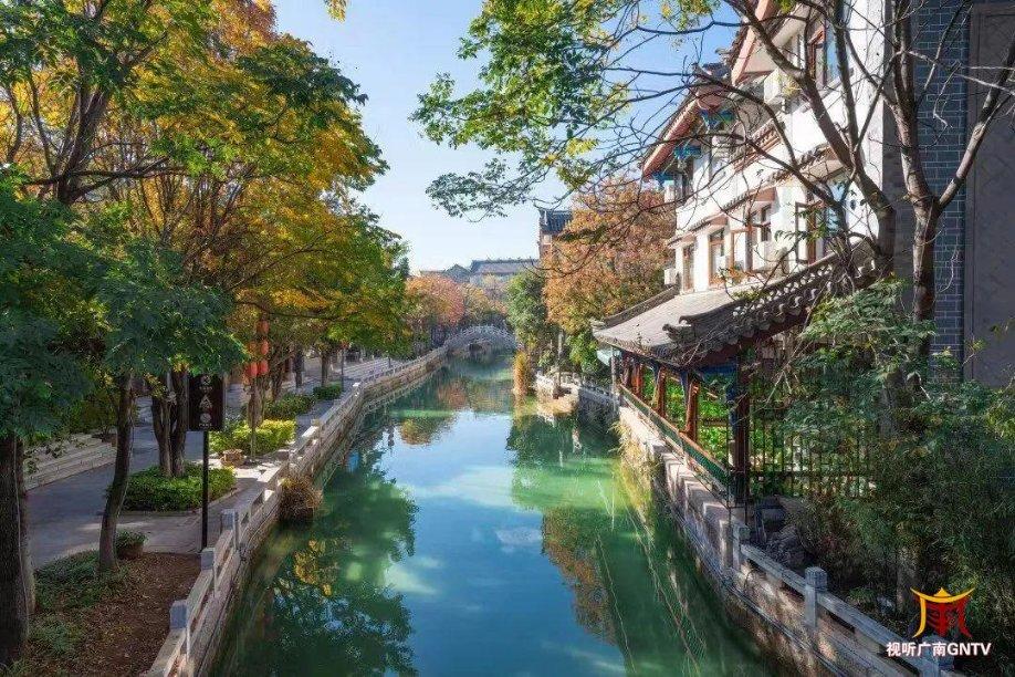 饥饿的哈利
